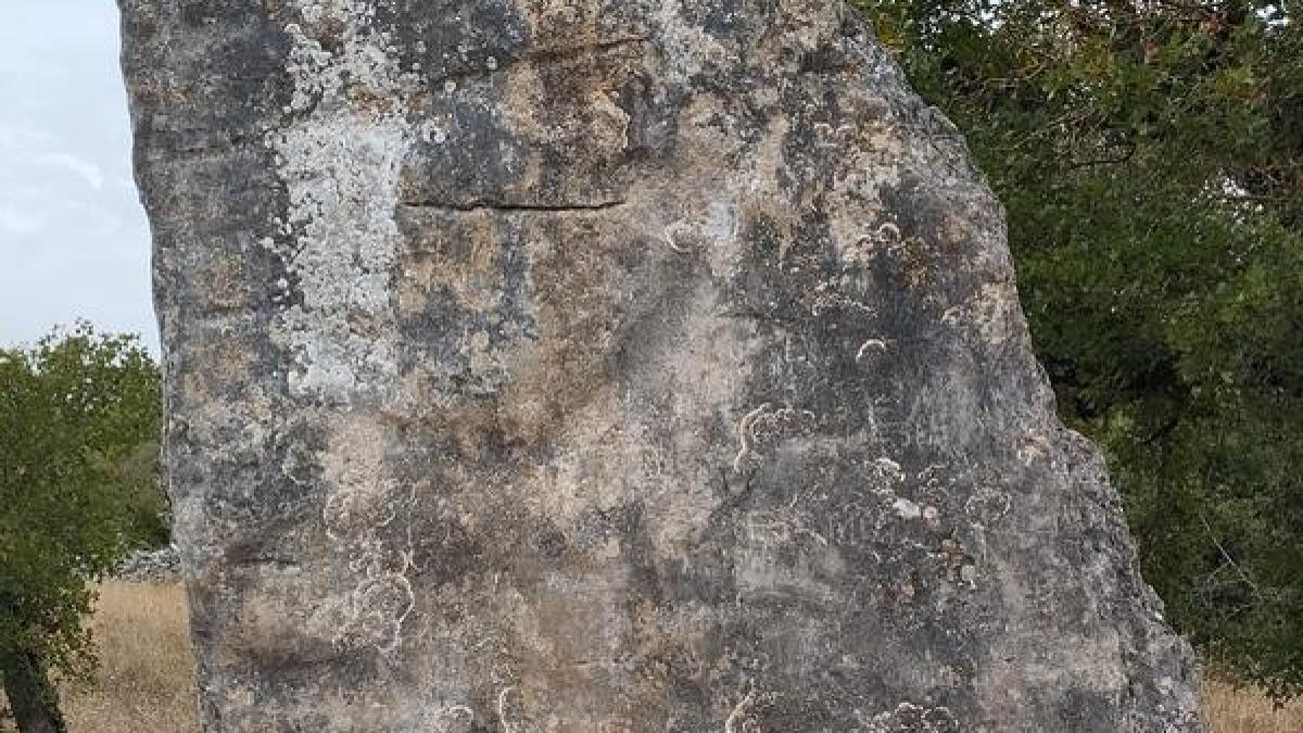 Menhir Mystérieux Retrouvé dans le Lot: Une Énigme Archéologique