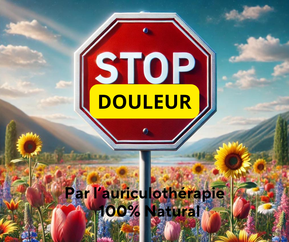 Auriculothérapie à Aimargues - Traitement de la douleur locale et générale